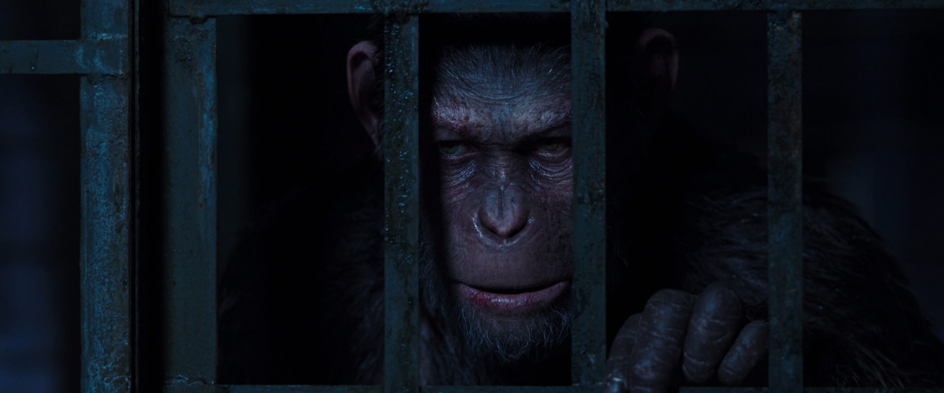 War for the Planet of the Apes (2017) HD screenshot 12569
