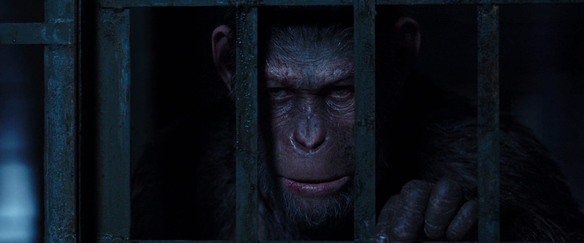 War for the Planet of the Apes (2017) screencap 12570