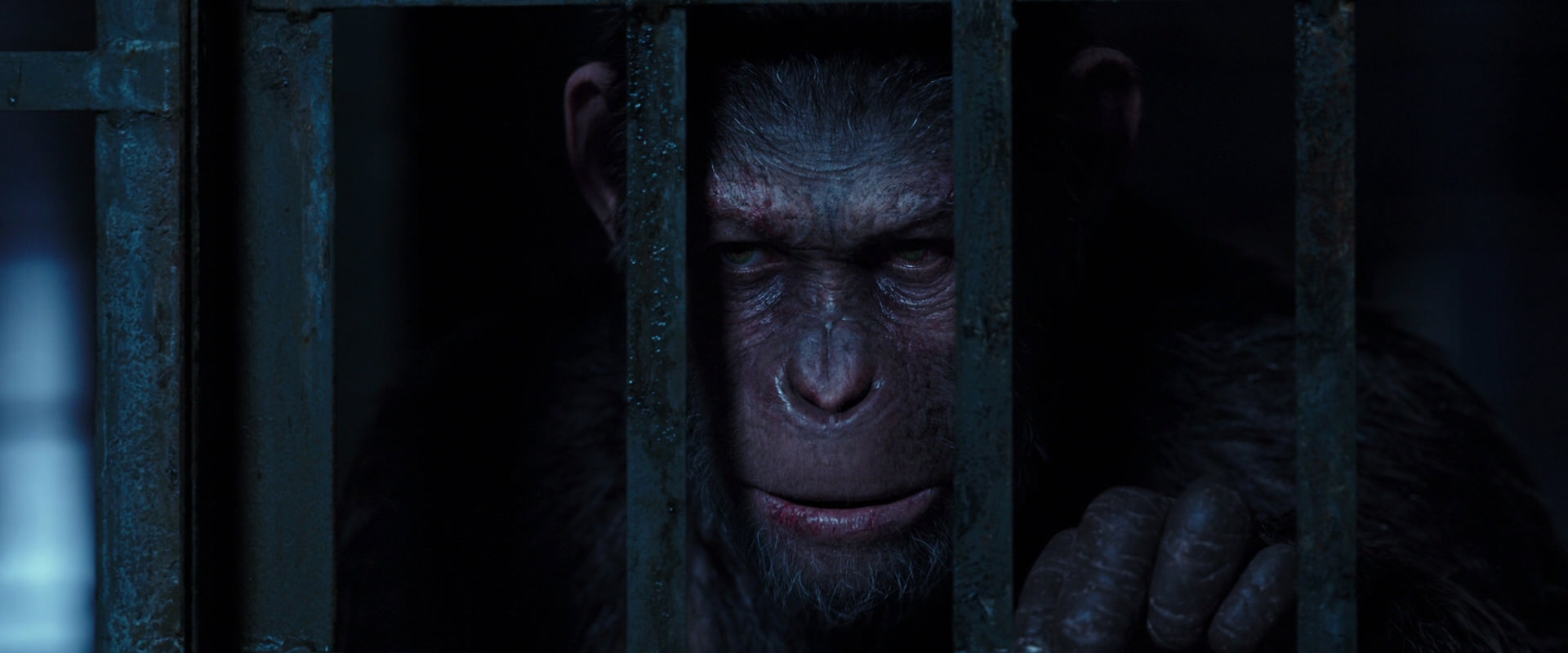 War for the Planet of the Apes (2017) movie still 12571