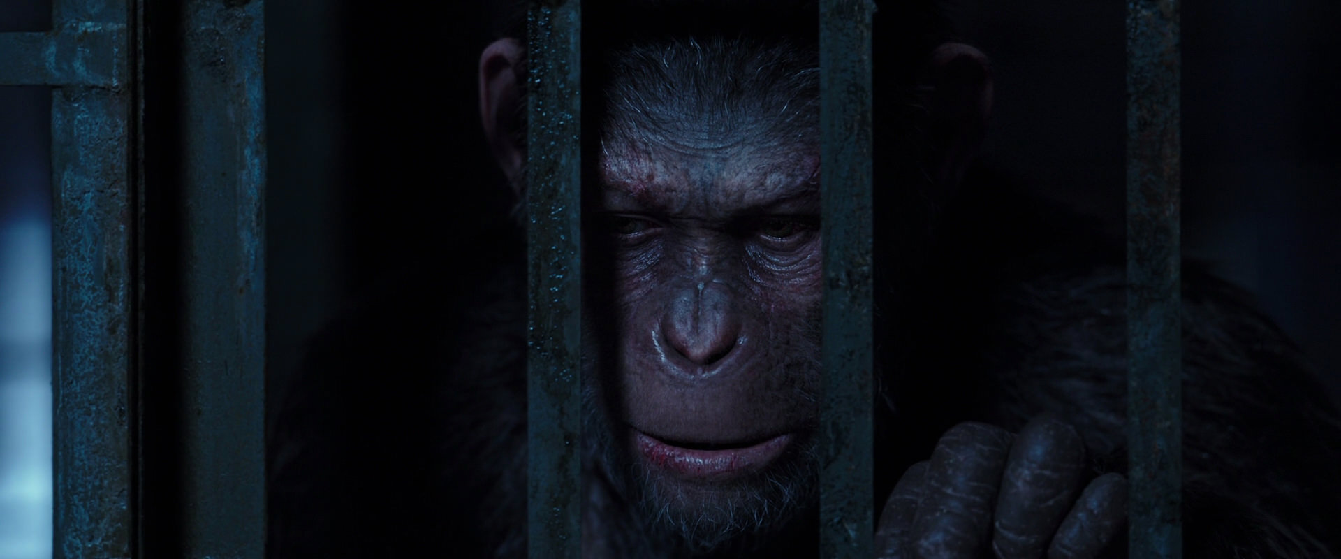 War for the Planet of the Apes (2017) HD screenshot 12572