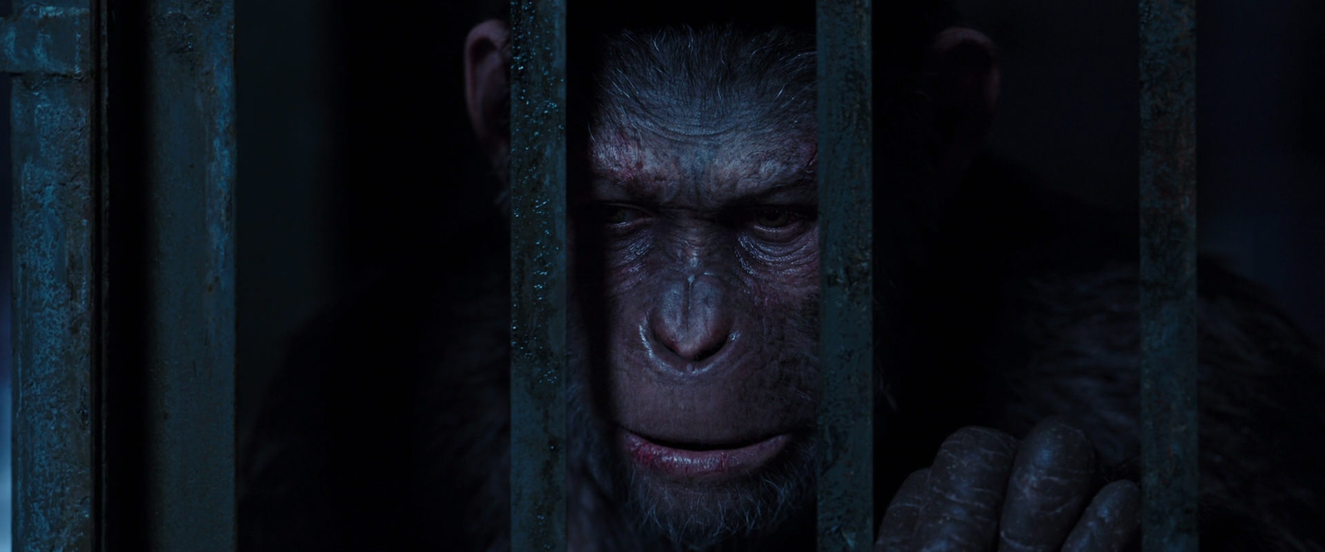 War for the Planet of the Apes (2017) screencap 12573