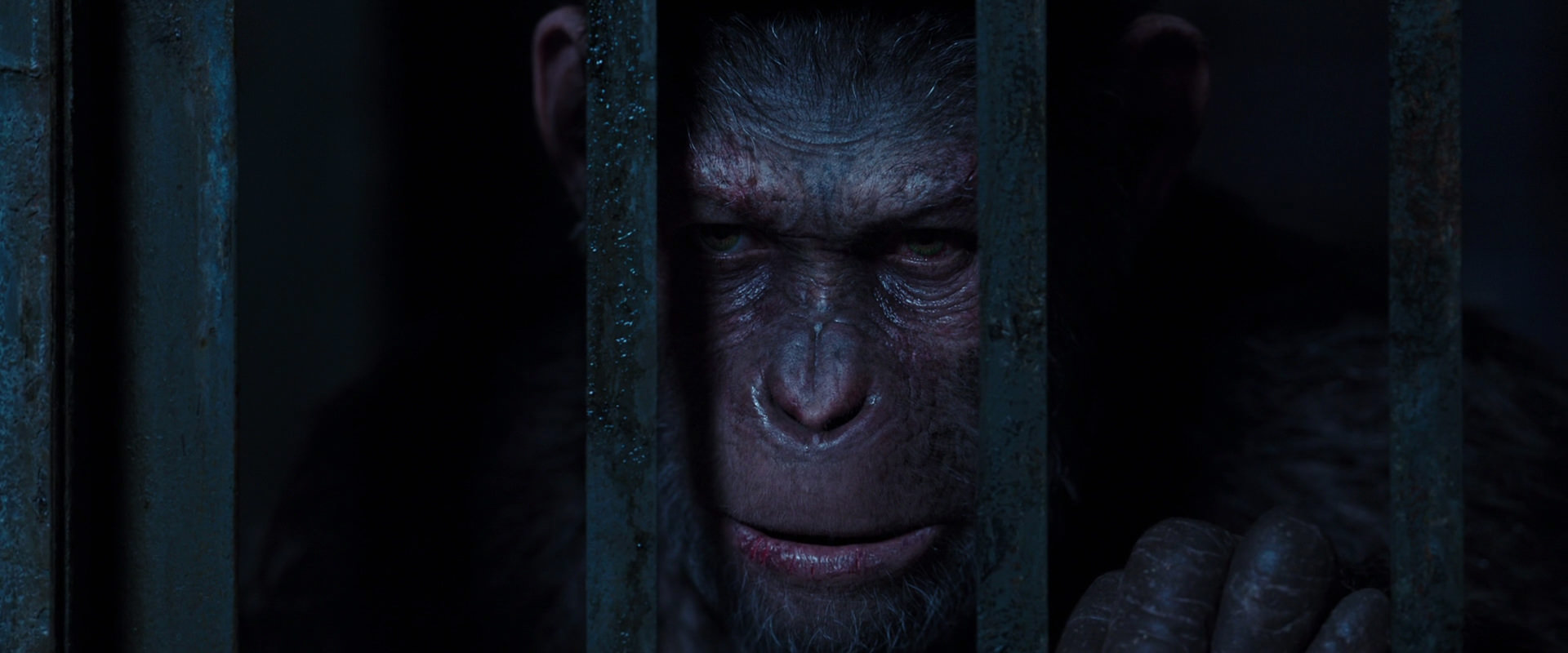 War for the Planet of the Apes (2017) movie still 12574