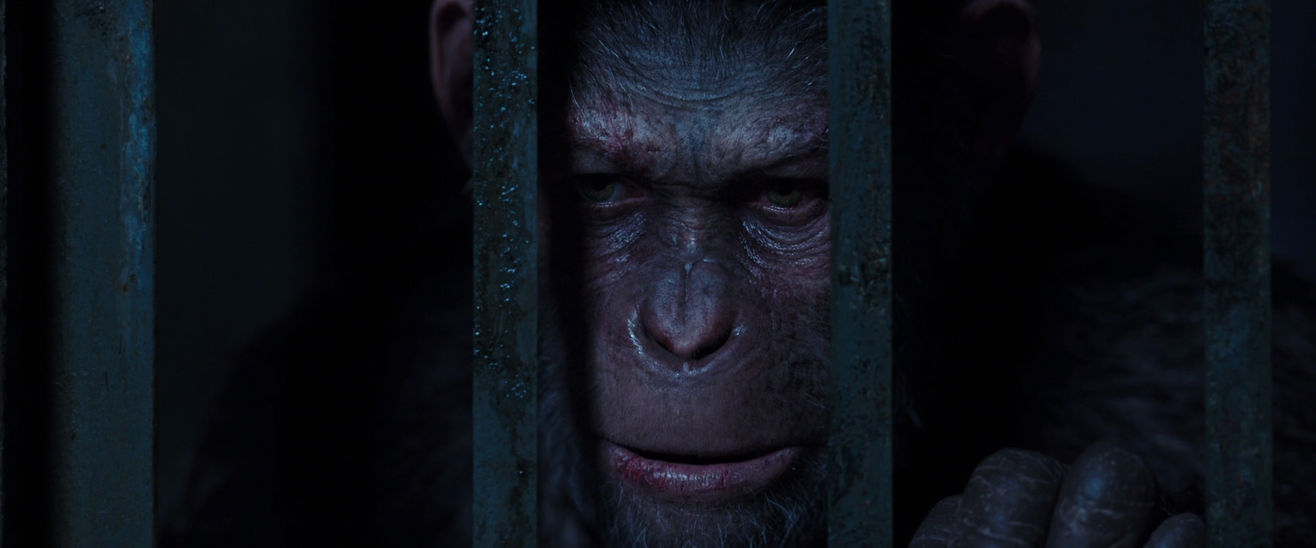 War for the Planet of the Apes (2017) HD screenshot 12575