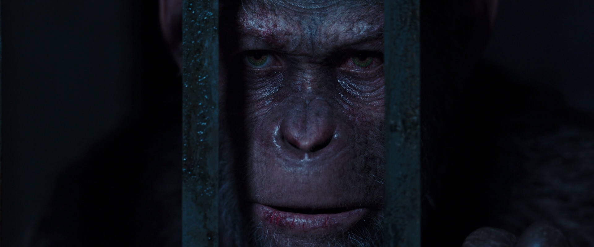 War for the Planet of the Apes (2017) screencap 12579