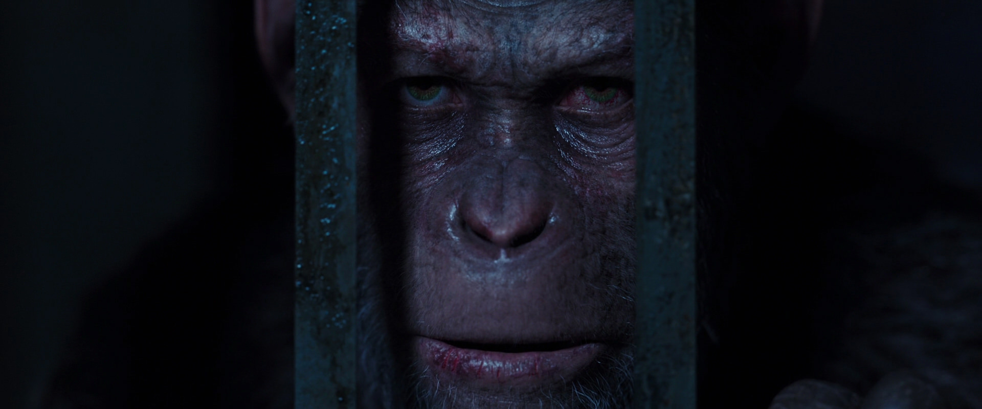 War for the Planet of the Apes (2017) movie still 12580