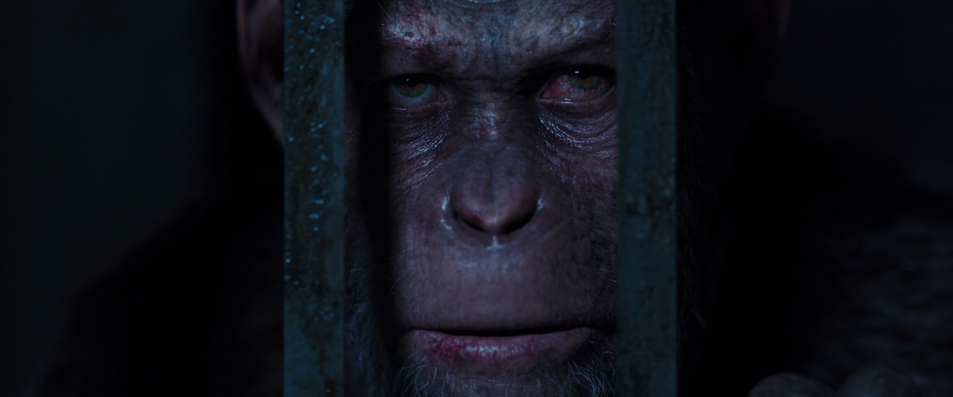 War for the Planet of the Apes (2017) screencap 12582