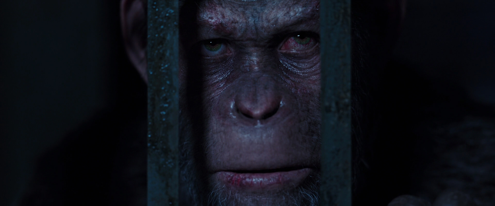 War for the Planet of the Apes (2017) movie still 12583