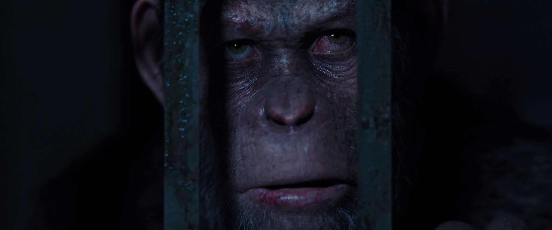 War for the Planet of the Apes (2017) screencap 12585