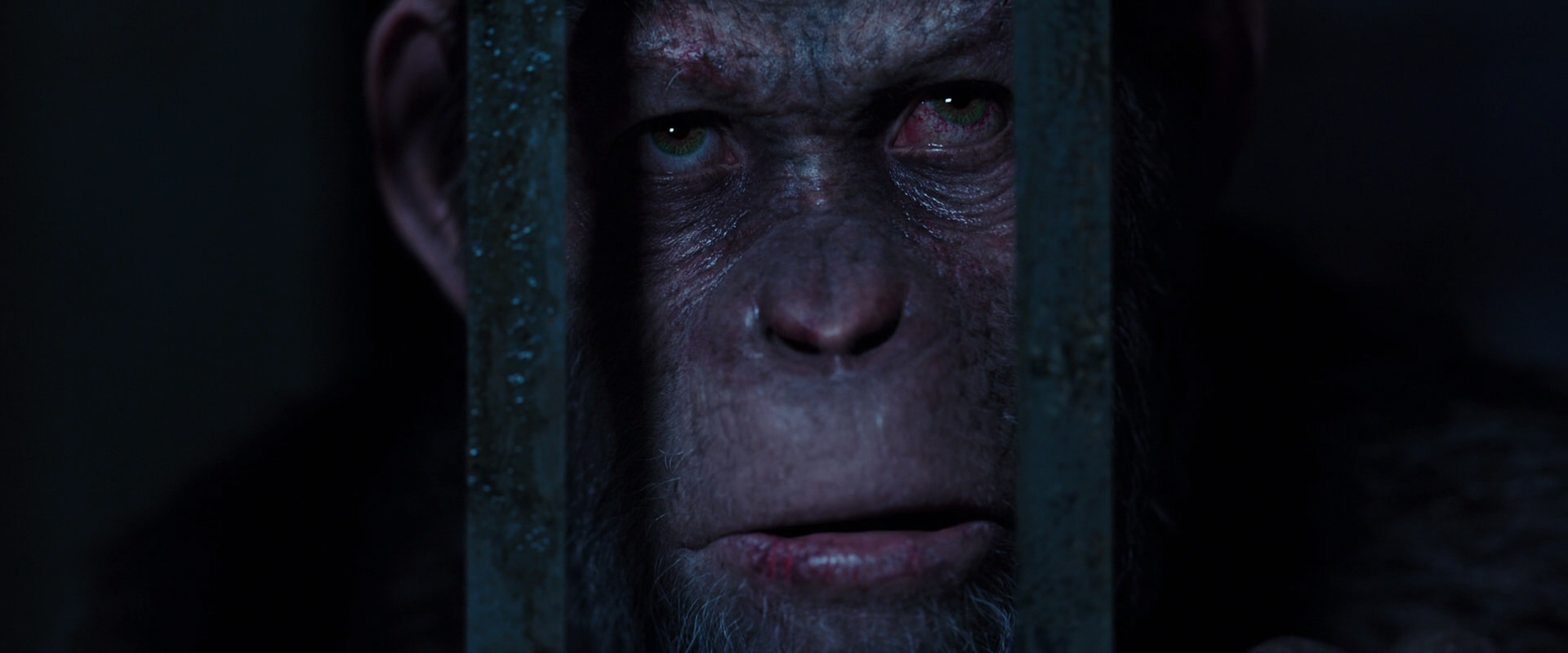 War for the Planet of the Apes (2017) movie still 12586