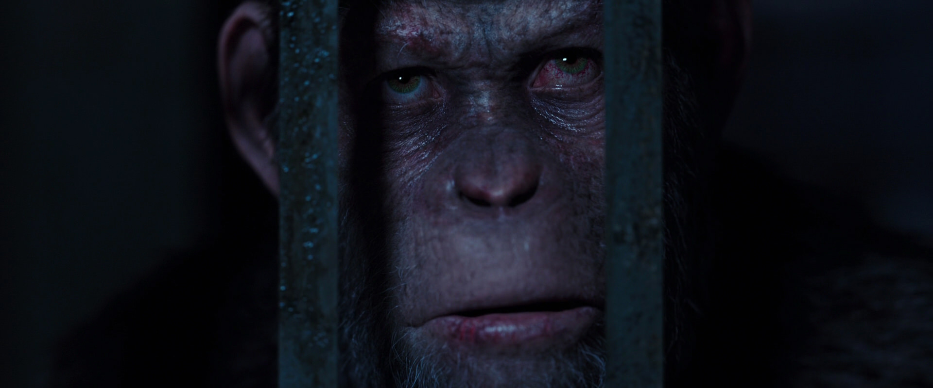 War for the Planet of the Apes (2017) screencap 12588