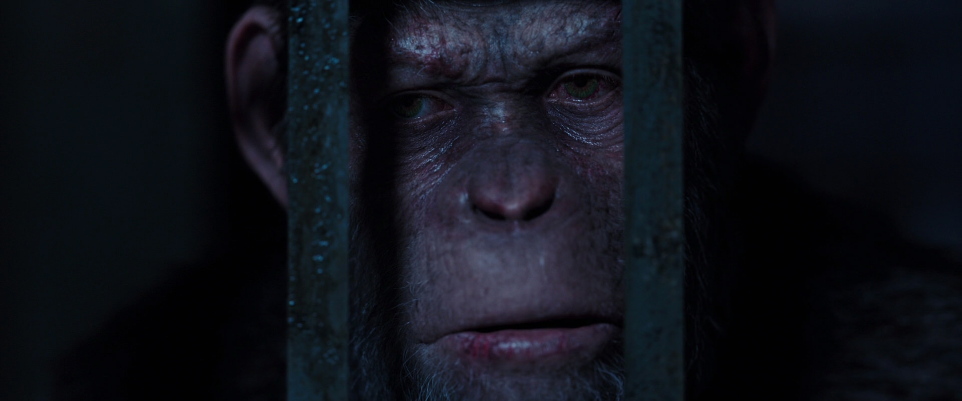 War for the Planet of the Apes (2017) movie still 12589