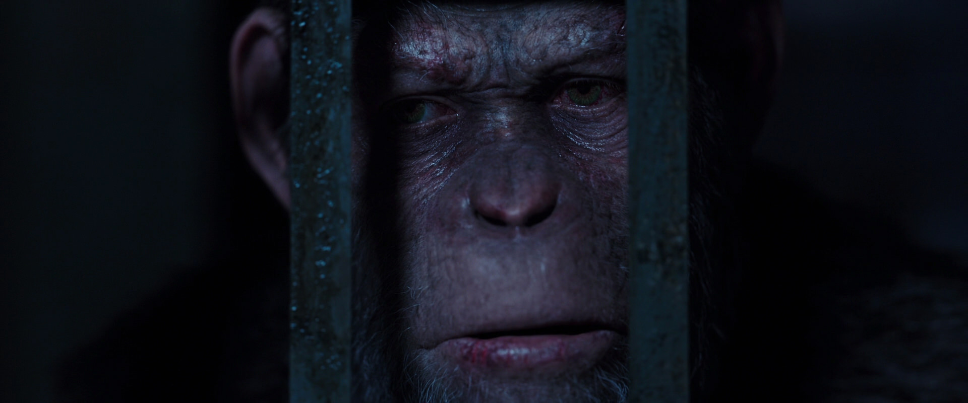 War for the Planet of the Apes (2017) HD screenshot 12590