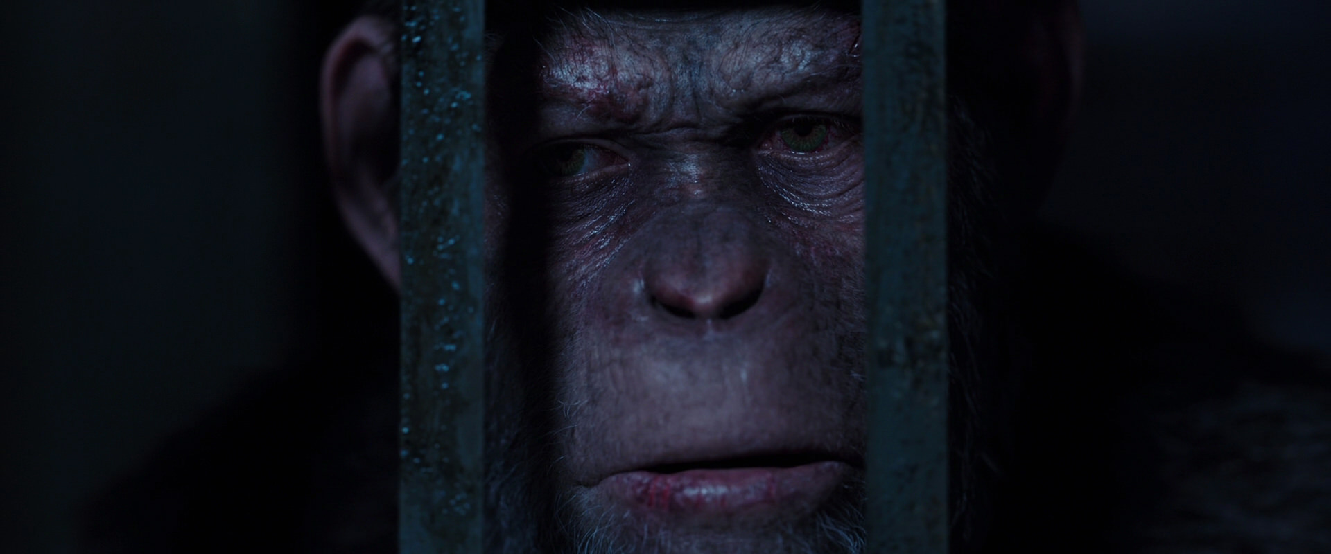War for the Planet of the Apes (2017) screencap 12591