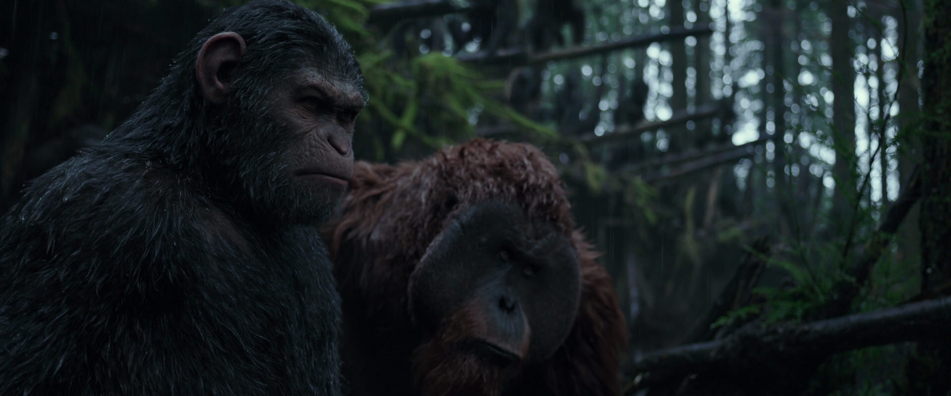 War for the Planet of the Apes (2017) screencap 1260