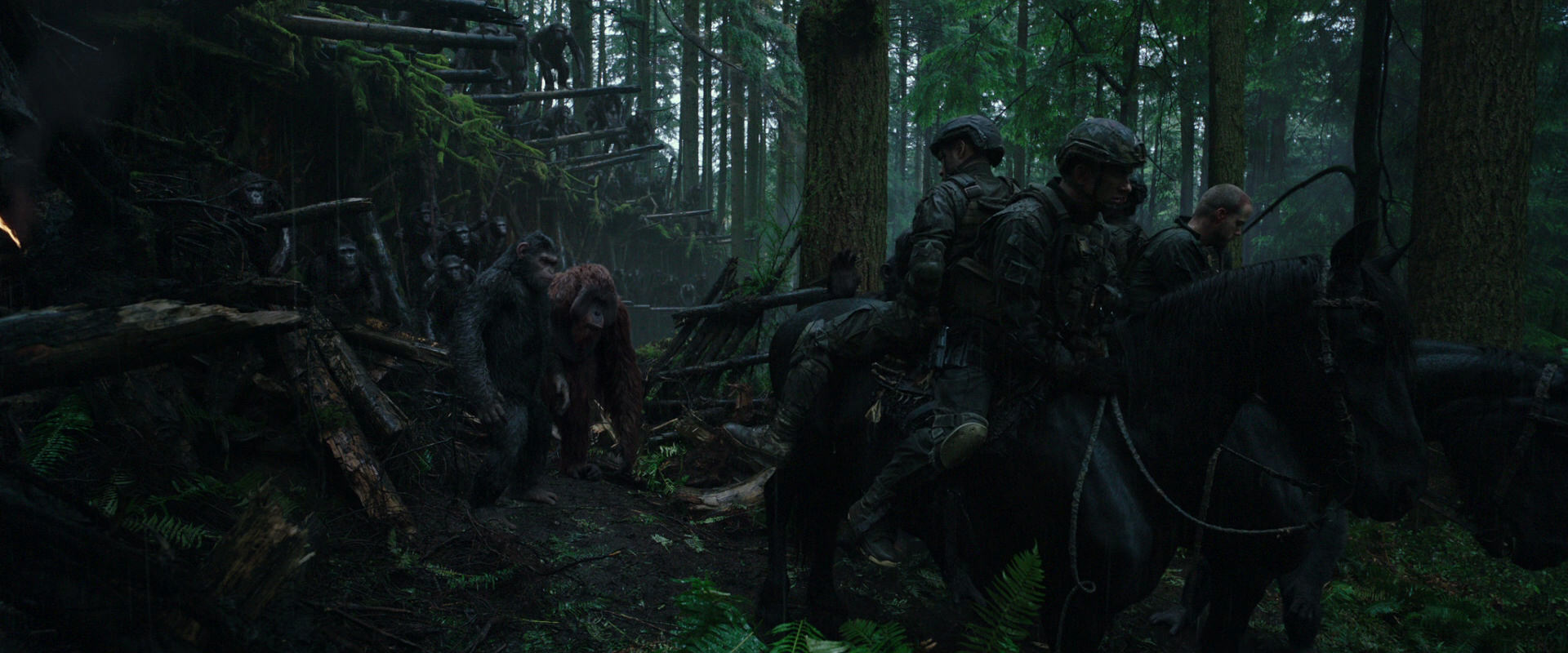 War for the Planet of the Apes (2017) movie still 1261