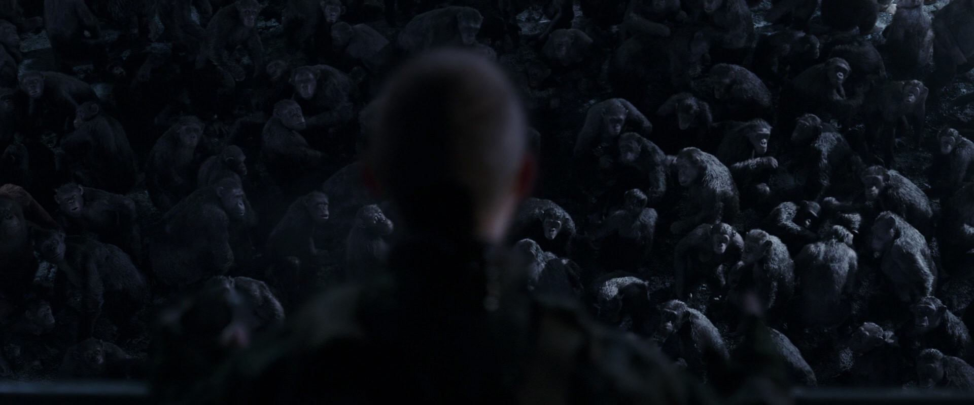 War for the Planet of the Apes (2017) screencap 12639