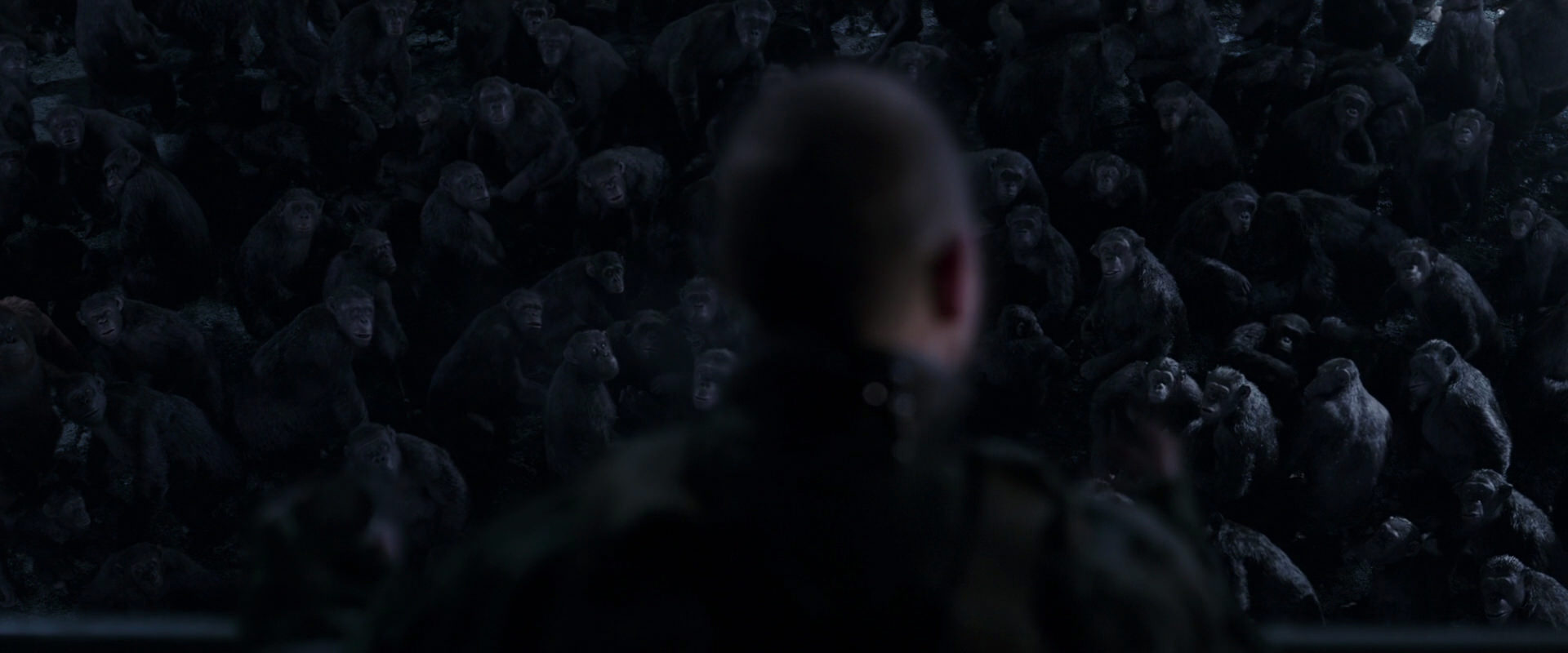 War for the Planet of the Apes (2017) movie still 12640