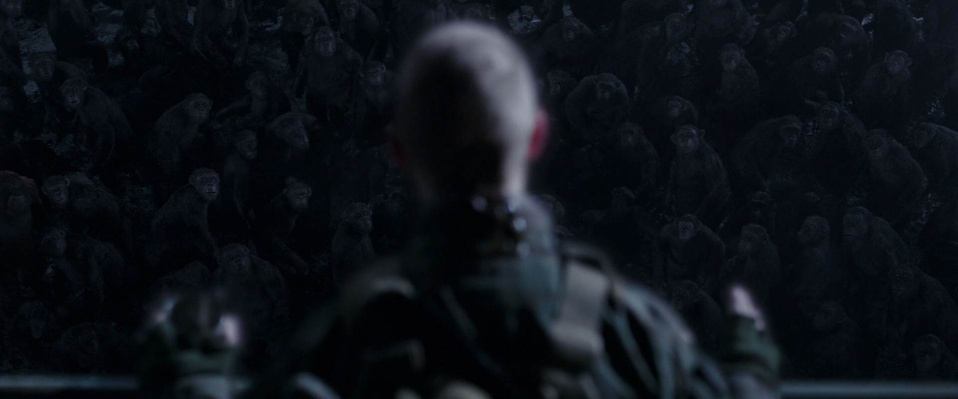 War for the Planet of the Apes (2017) movie still 12643