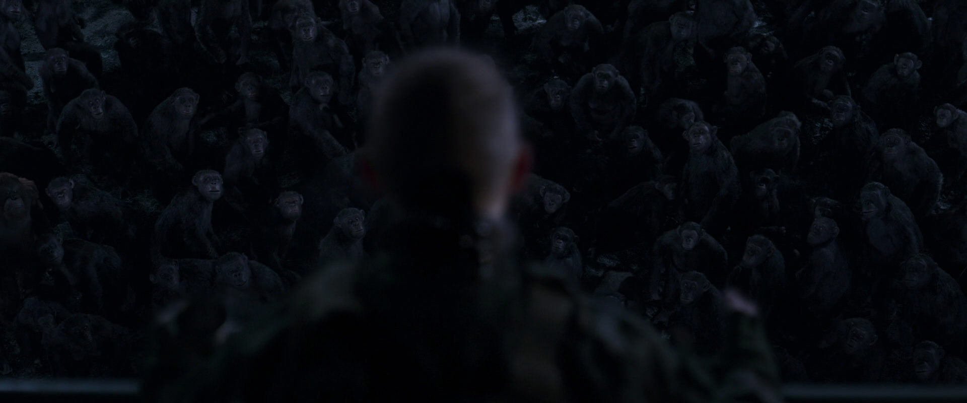 War for the Planet of the Apes (2017) movie still 12646