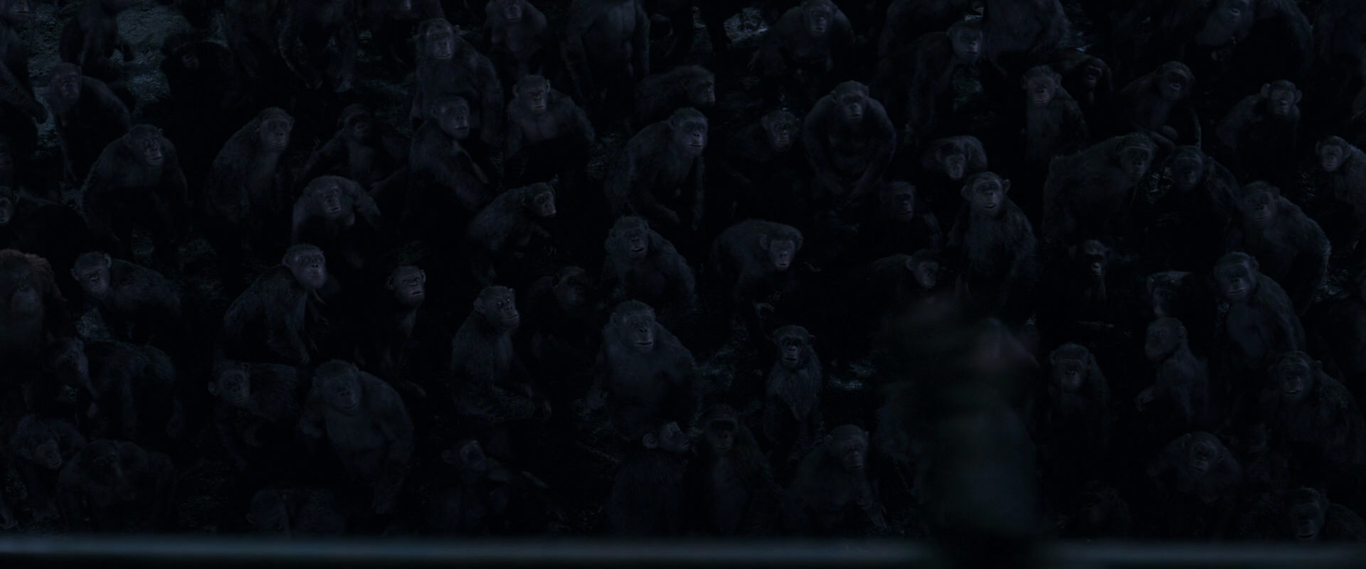 War for the Planet of the Apes (2017) screencap 12648