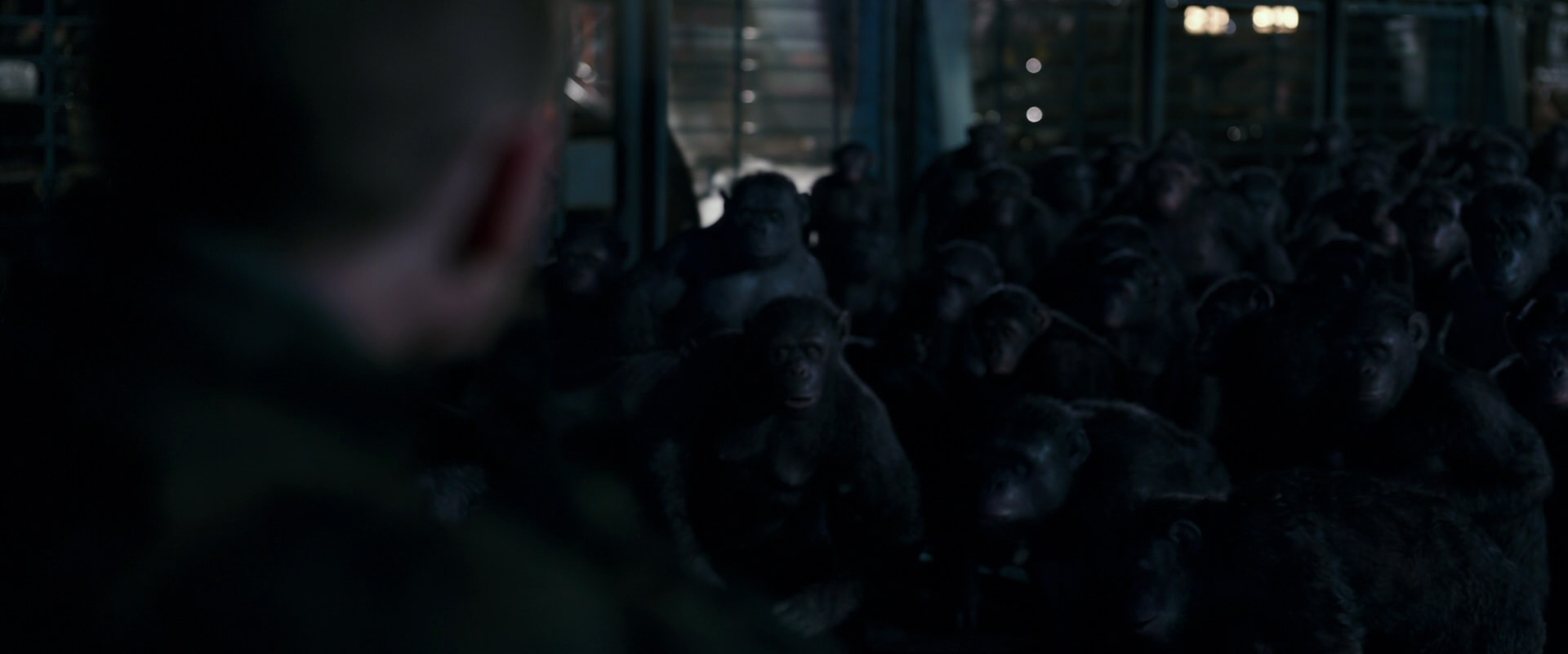 War for the Planet of the Apes (2017) HD screenshot 12689