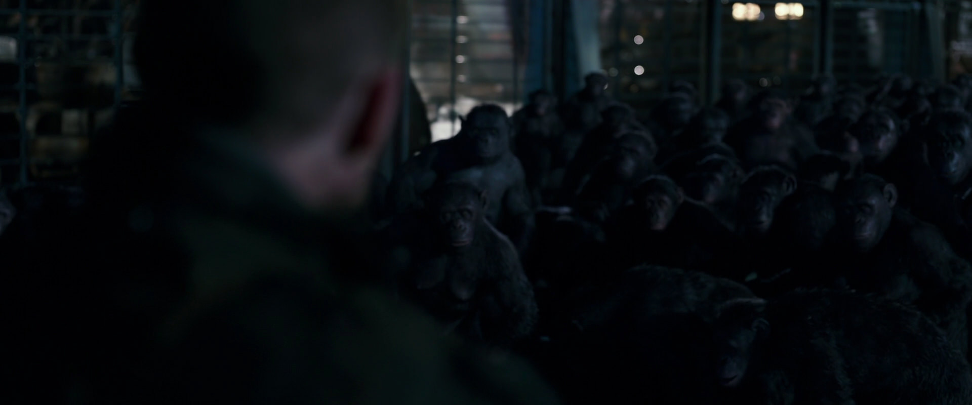 War for the Planet of the Apes (2017) screencap 12690