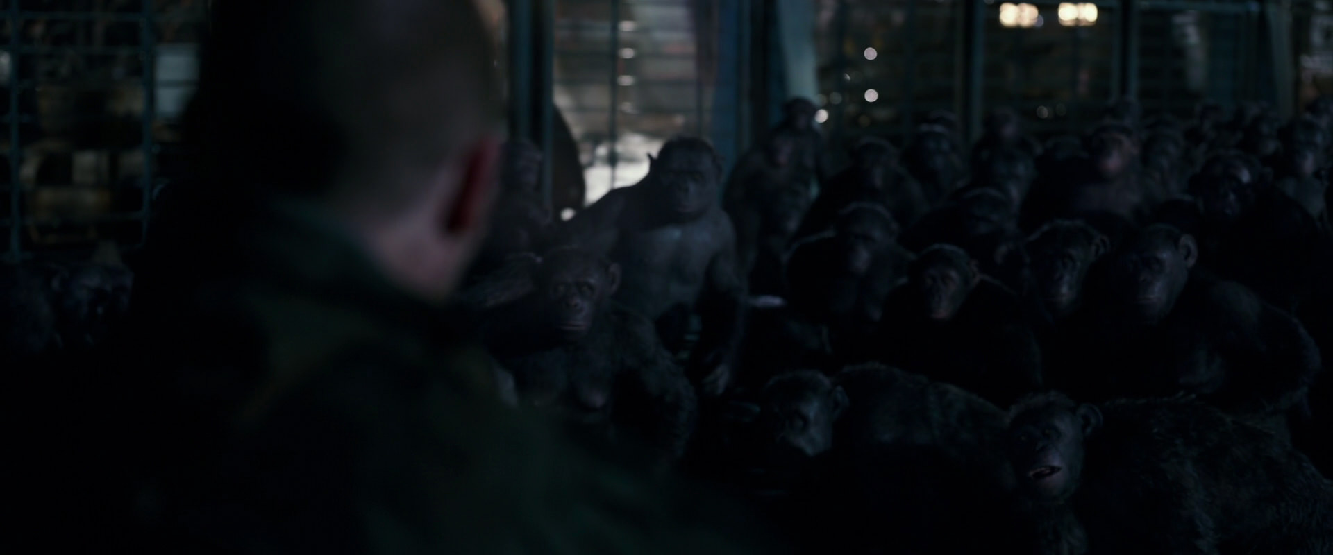 War for the Planet of the Apes (2017) movie still 12691