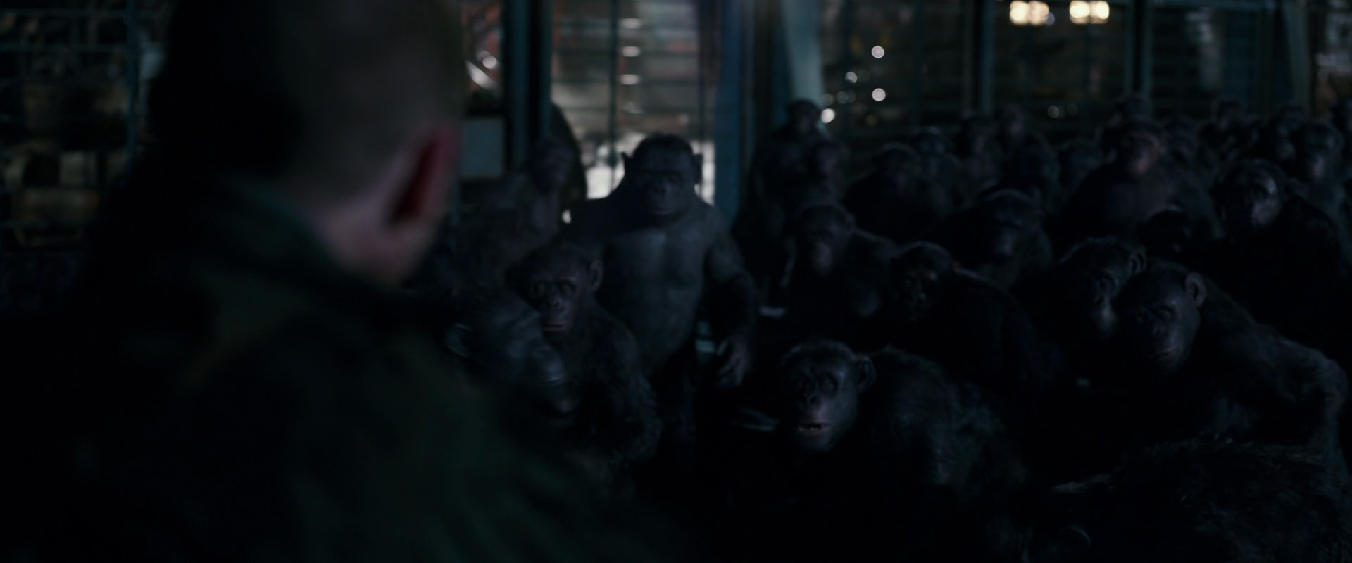 War for the Planet of the Apes (2017) HD screenshot 12692