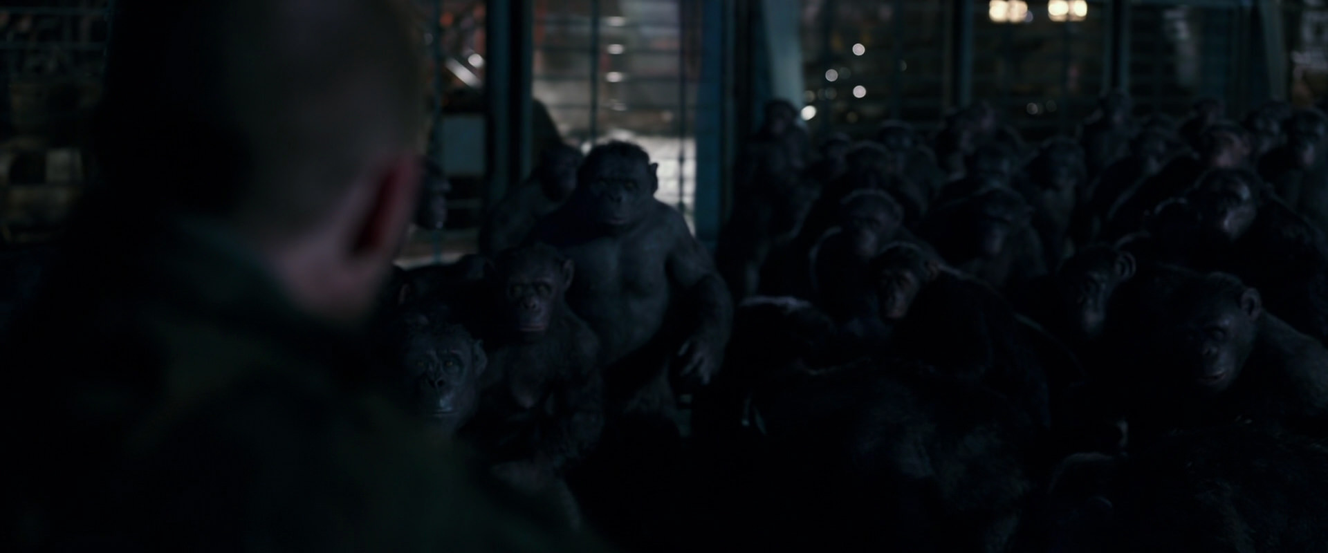War for the Planet of the Apes (2017) screencap 12693