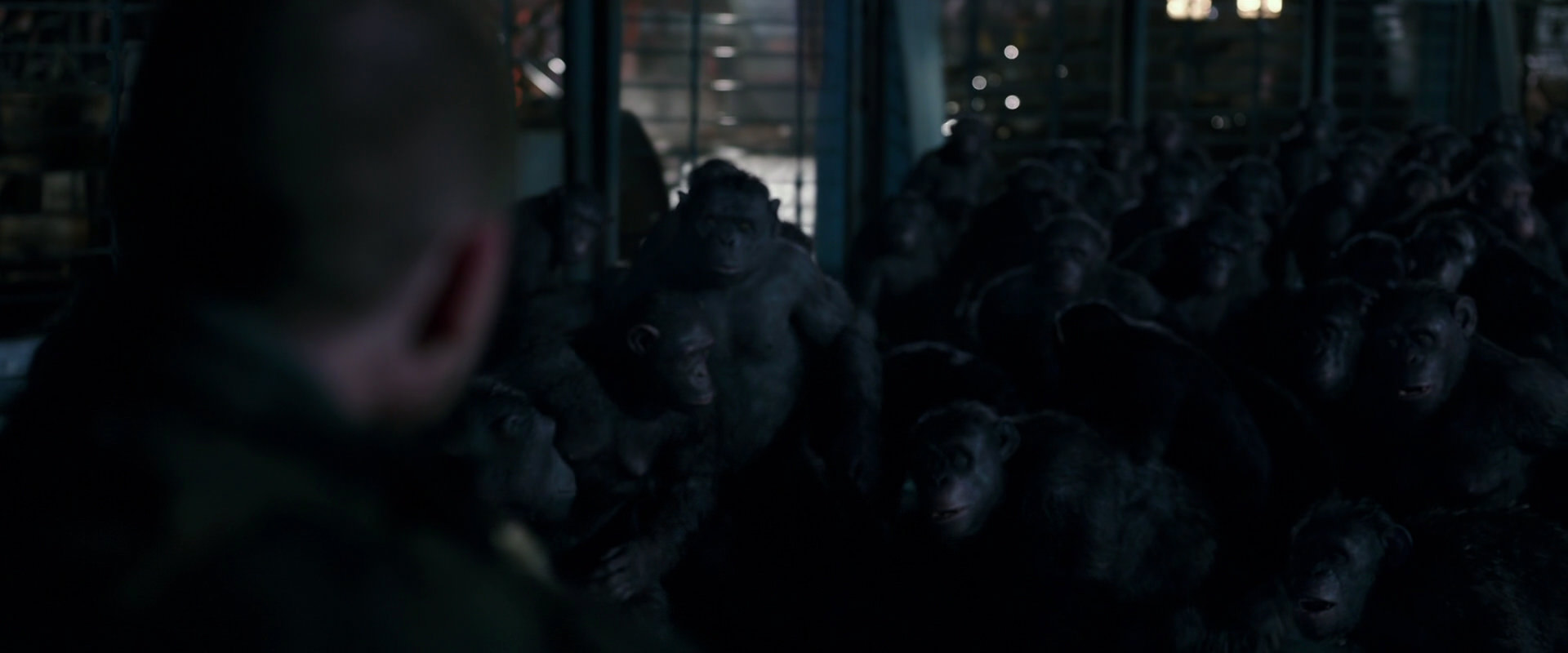 War for the Planet of the Apes (2017) movie still 12694