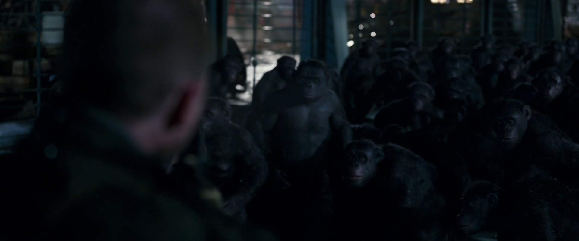 War for the Planet of the Apes (2017) HD screenshot 12695