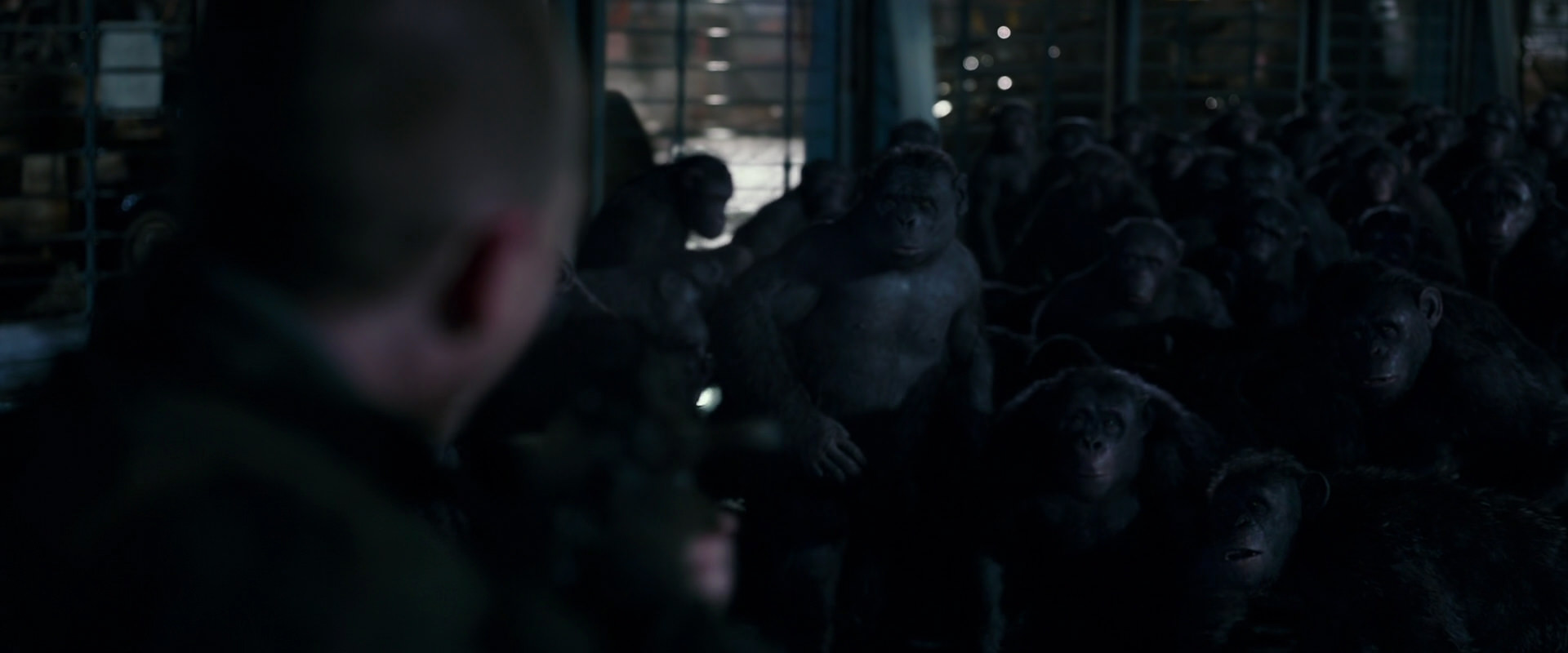 War for the Planet of the Apes (2017) screencap 12696