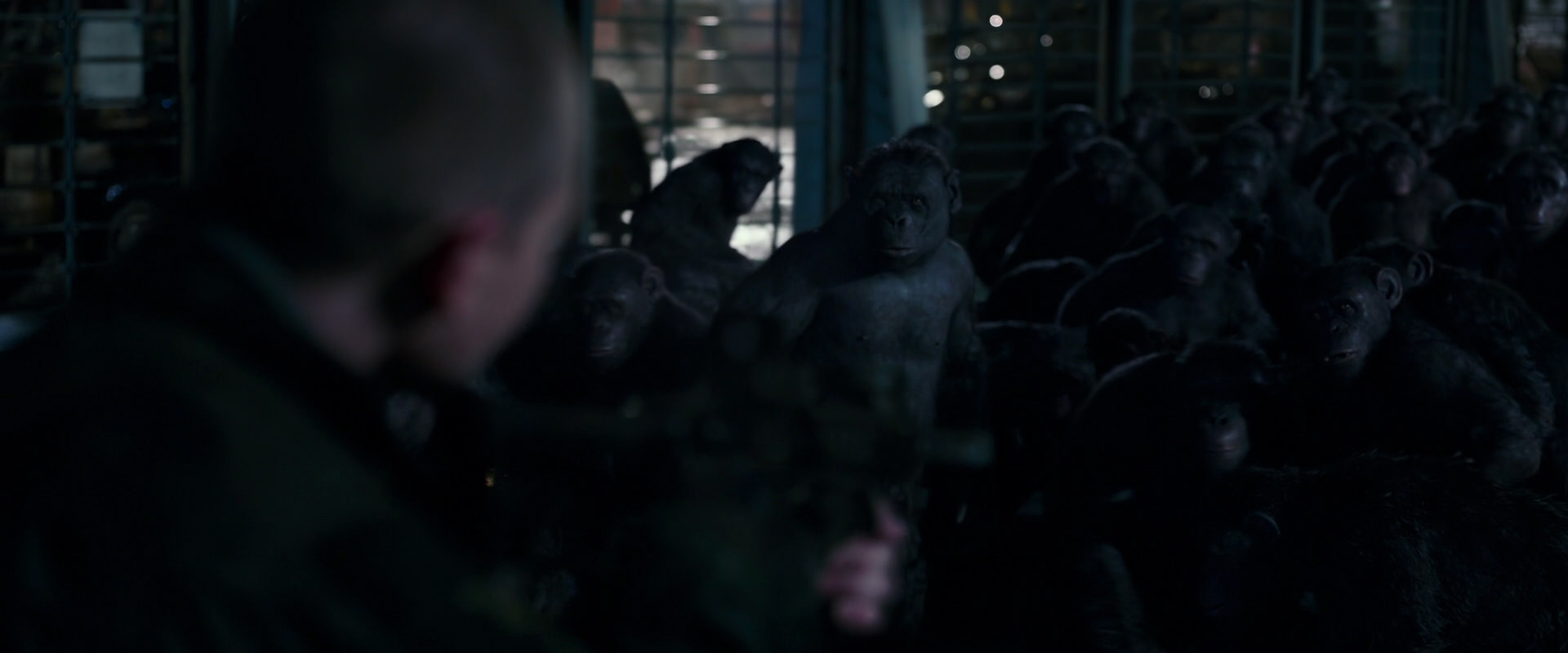 War for the Planet of the Apes (2017) movie still 12697