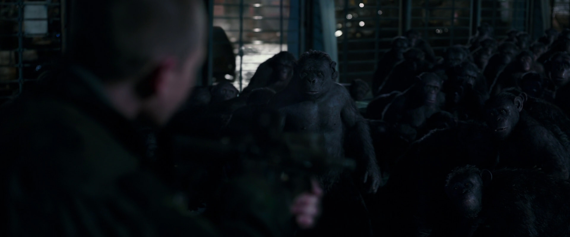 War for the Planet of the Apes (2017) HD screenshot 12698