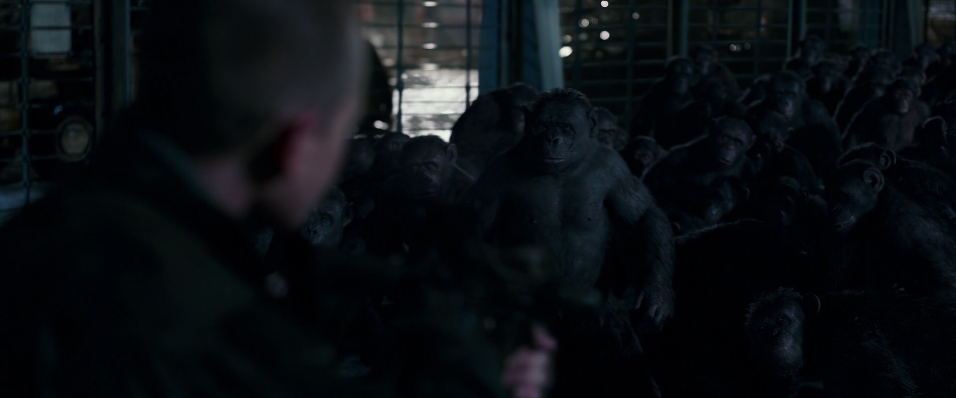 War for the Planet of the Apes (2017) screencap 12699
