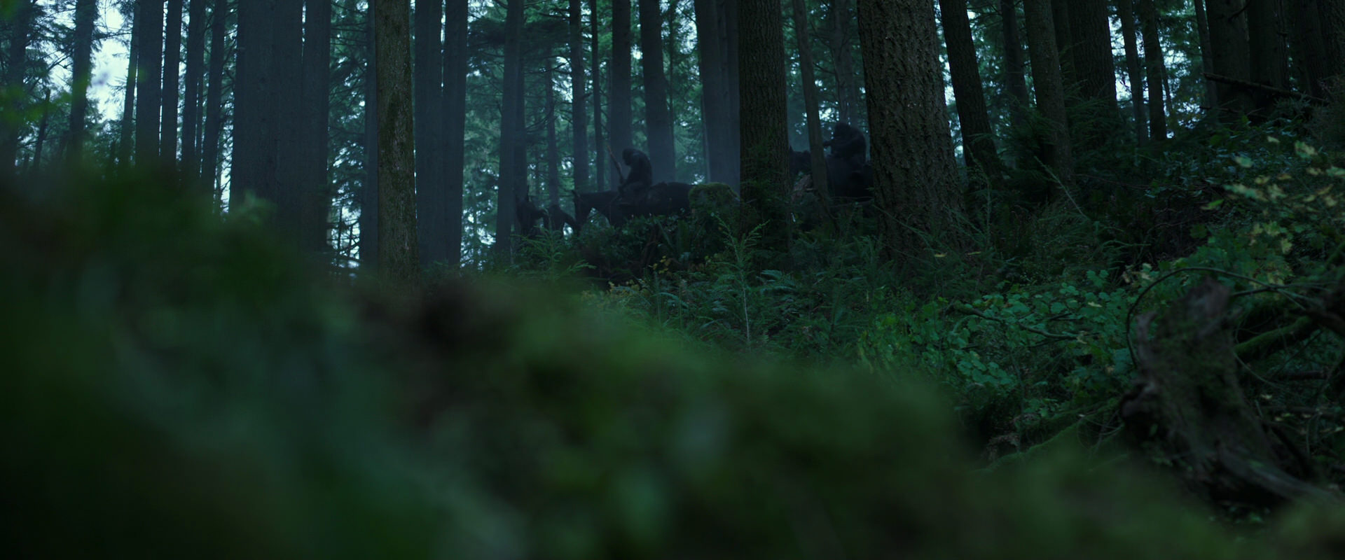 War for the Planet of the Apes (2017) movie still 127