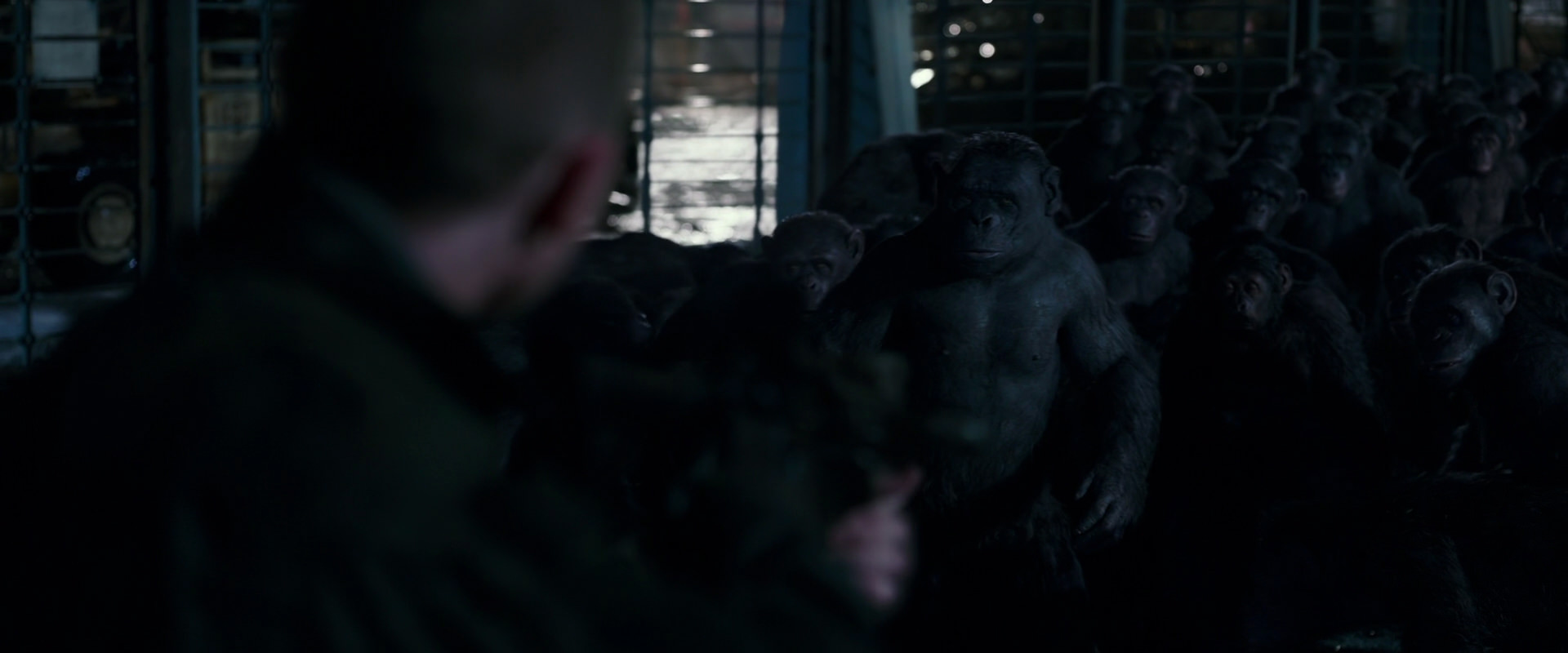 War for the Planet of the Apes (2017) movie still 12700