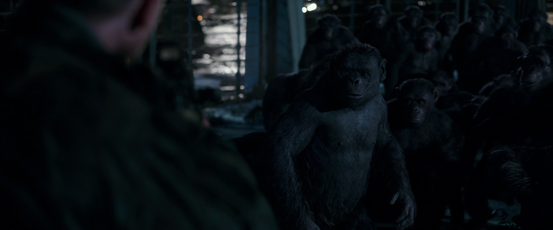 War for the Planet of the Apes (2017) movie still 12709