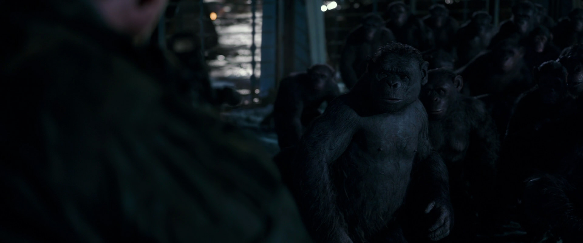 War for the Planet of the Apes (2017) HD screenshot 12710