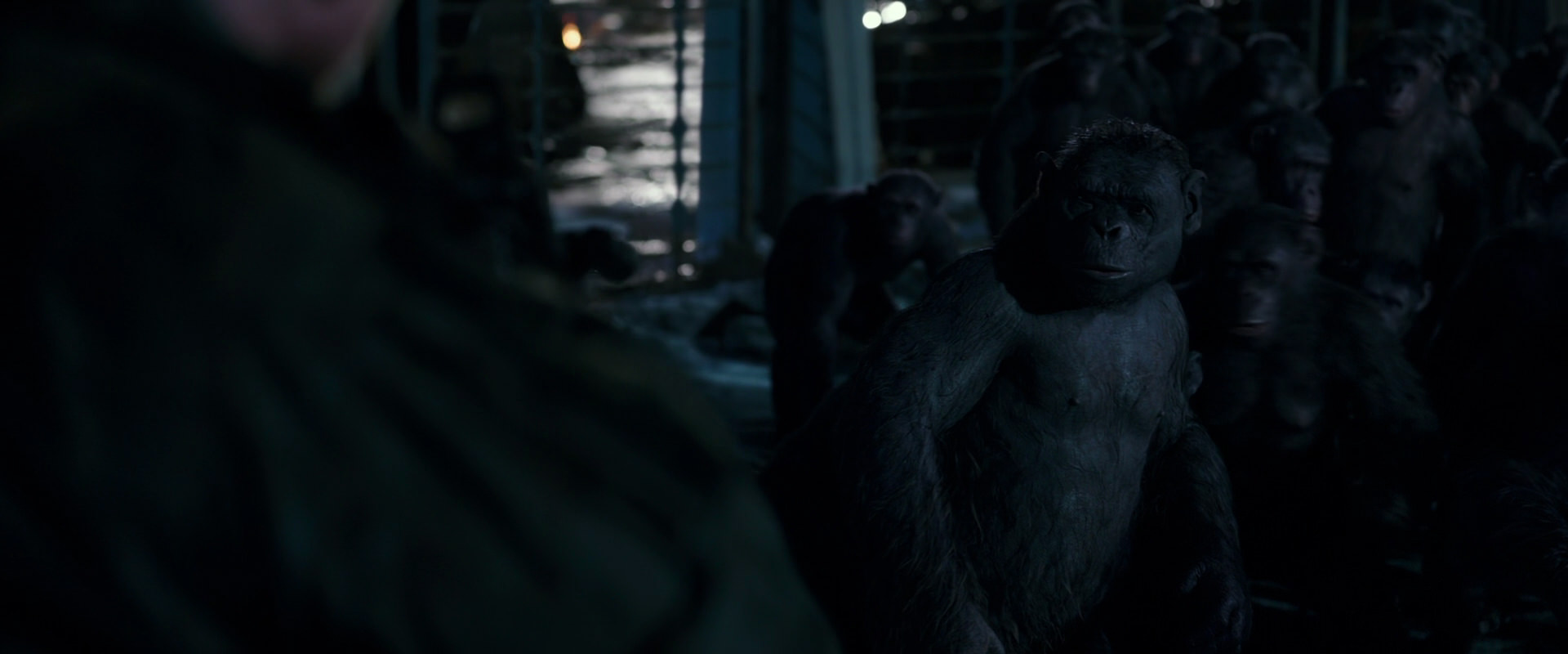 War for the Planet of the Apes (2017) screencap 12711
