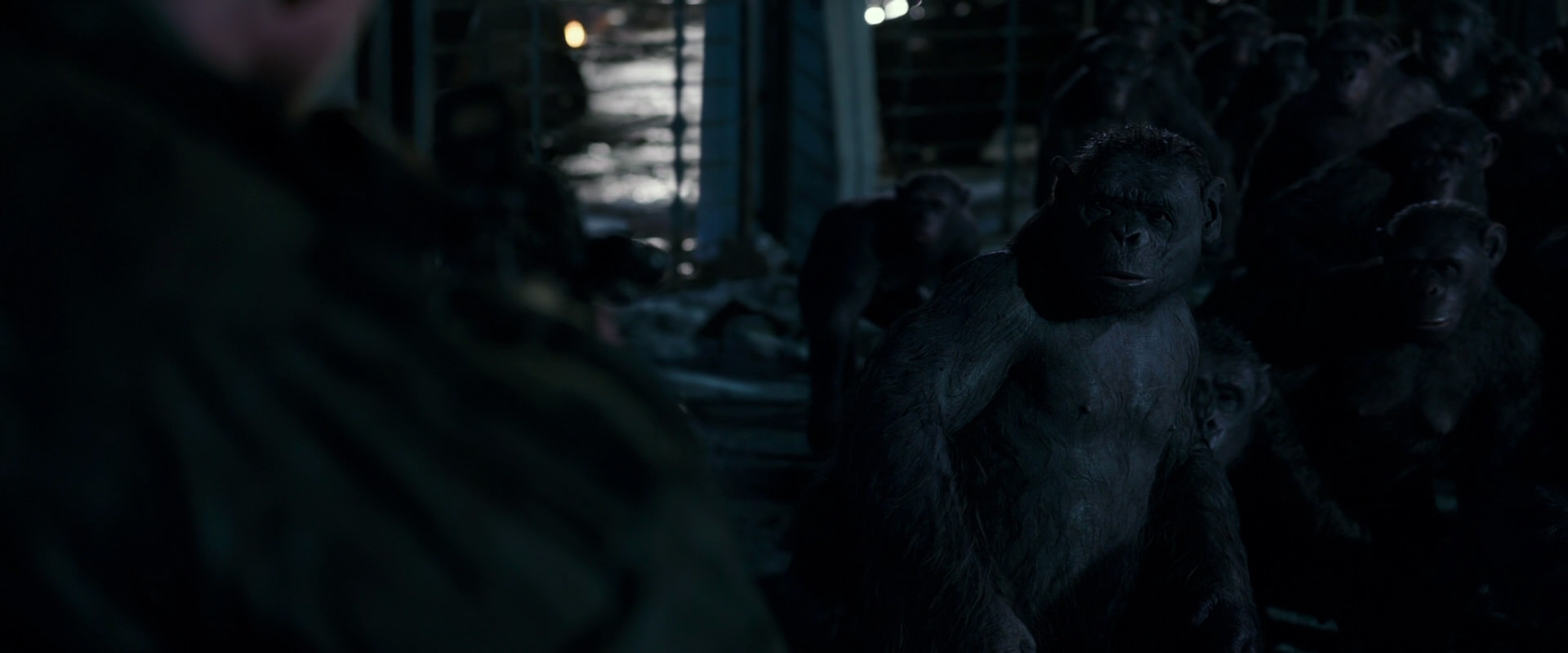 War for the Planet of the Apes (2017) movie still 12712