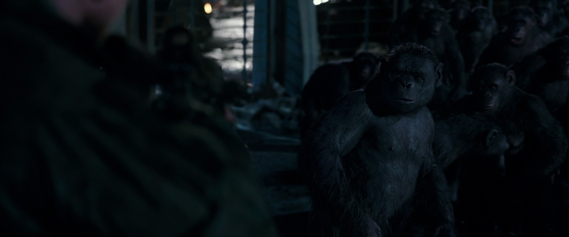 War for the Planet of the Apes (2017) HD screenshot 12713