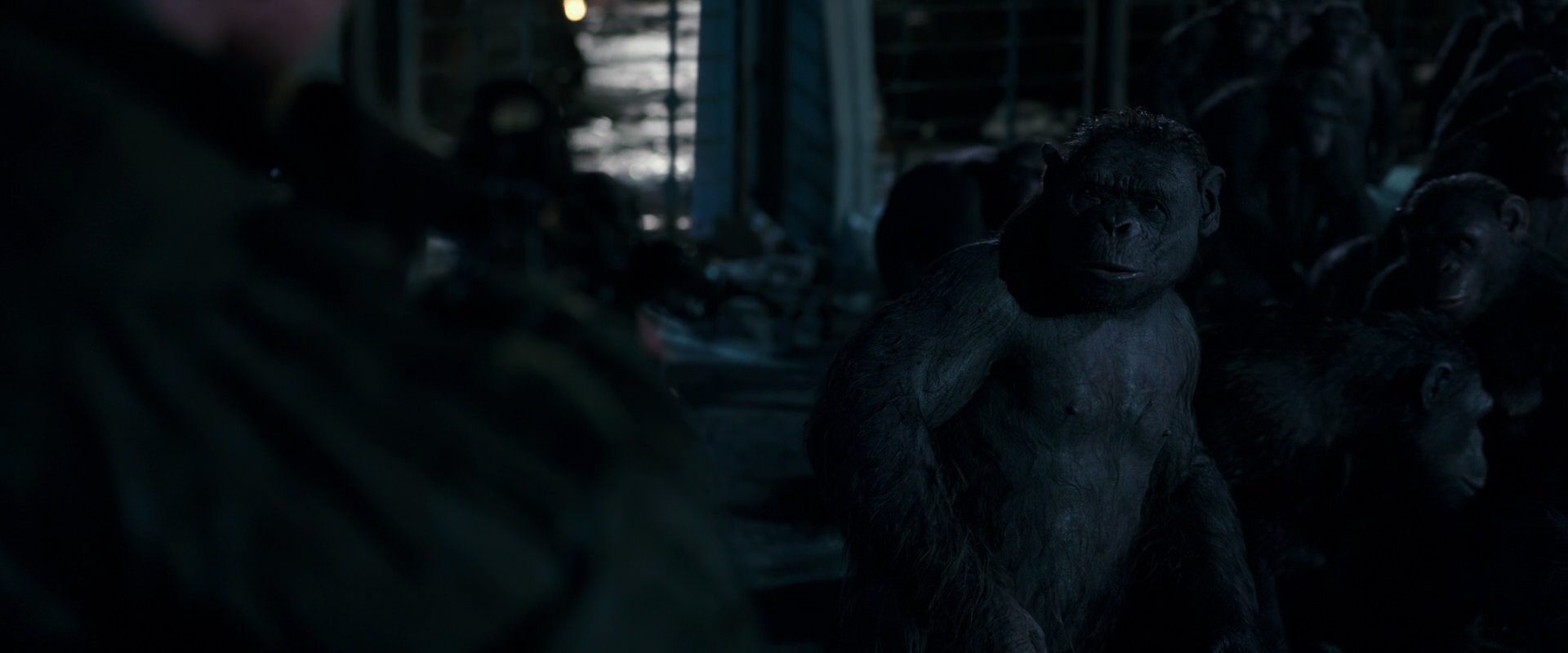 War for the Planet of the Apes (2017) screencap 12714