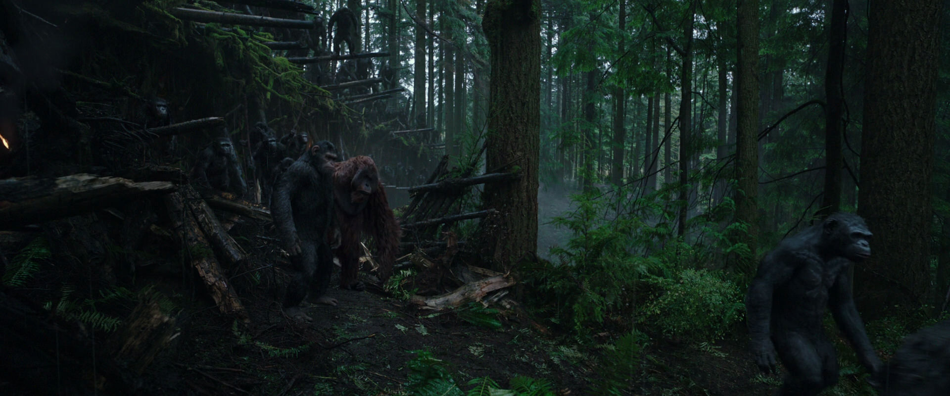 War for the Planet of the Apes (2017) movie still 1273