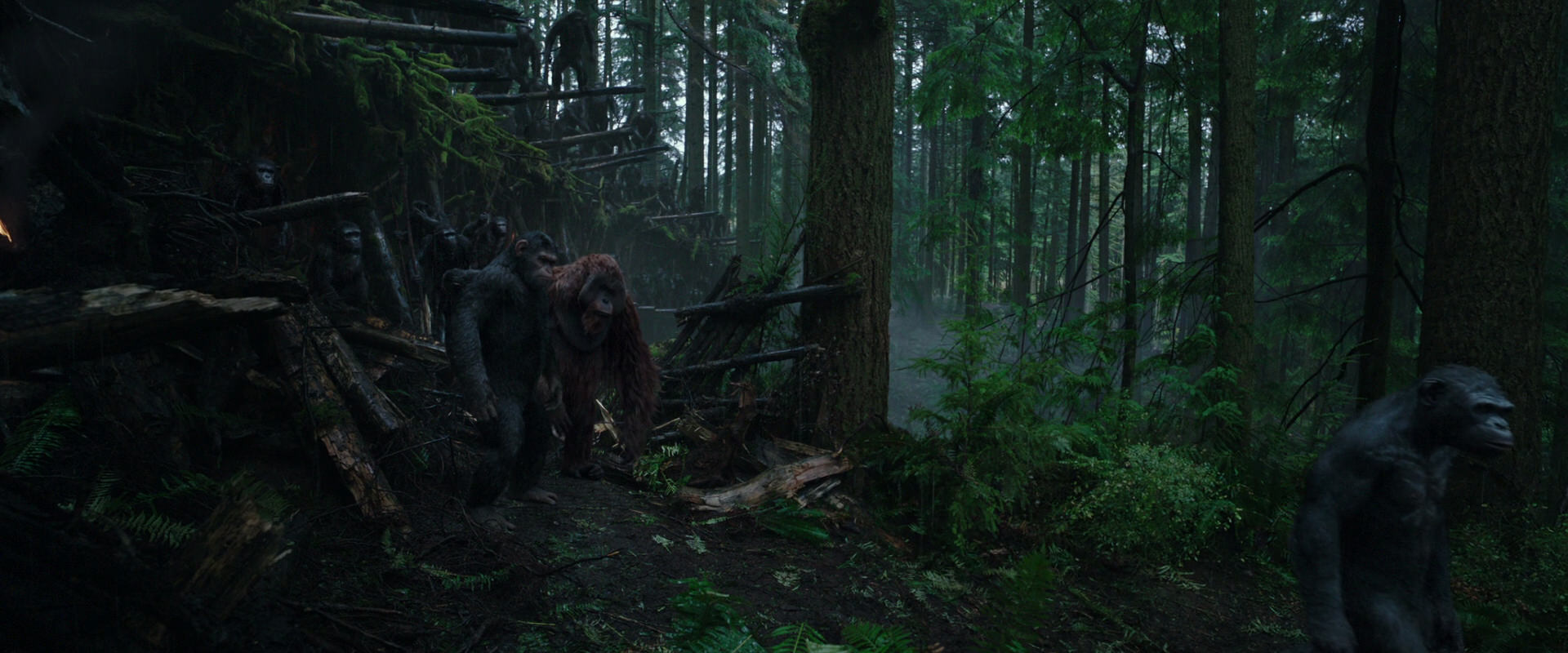 War for the Planet of the Apes (2017) HD screenshot 1274