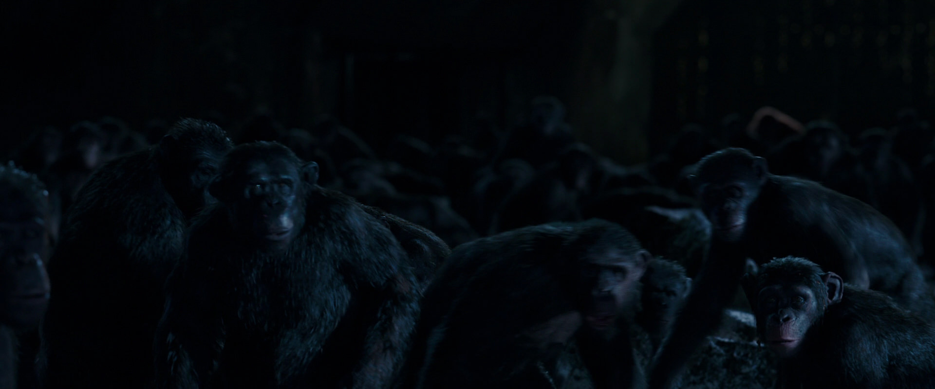 War for the Planet of the Apes (2017) HD screenshot 12749