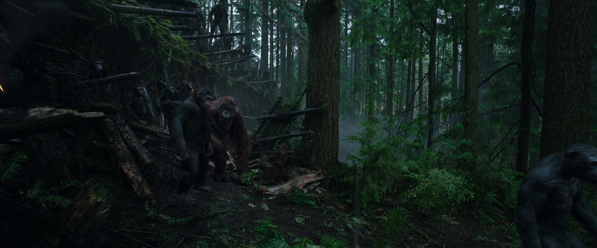War for the Planet of the Apes (2017) screencap 1275