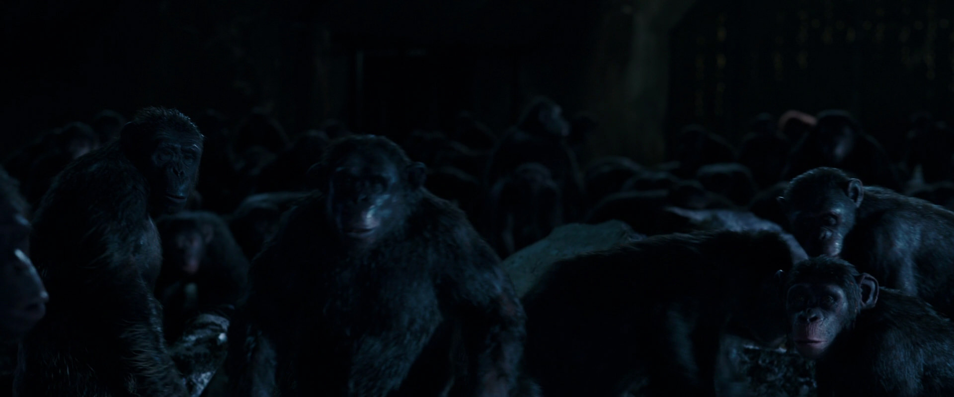War for the Planet of the Apes (2017) screencap 12750