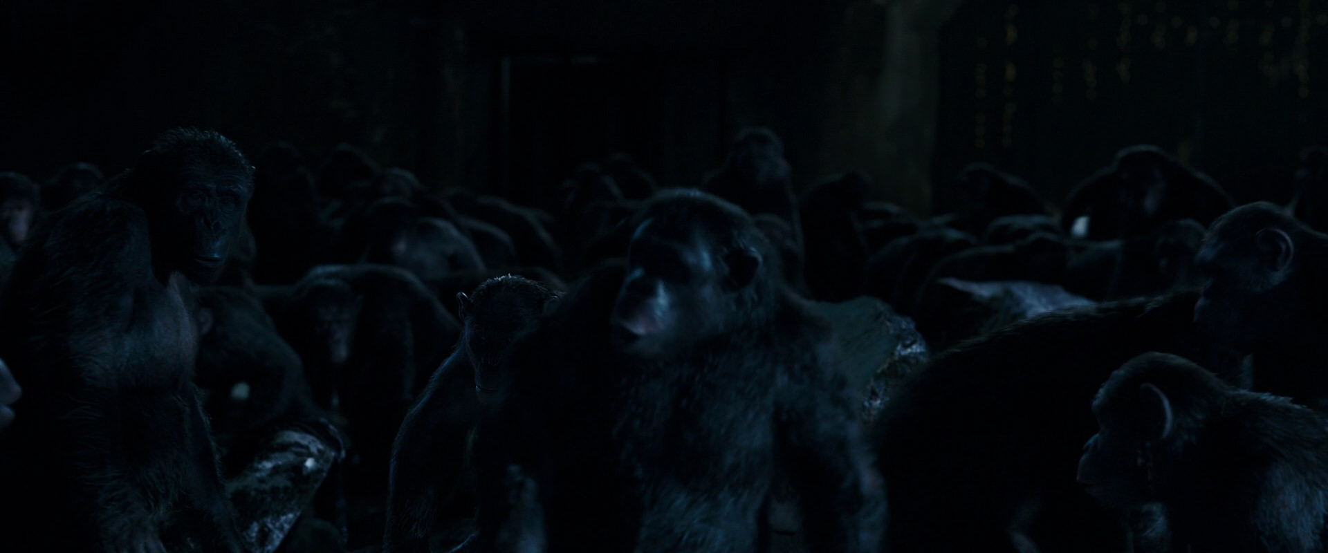 War for the Planet of the Apes (2017) movie still 12751