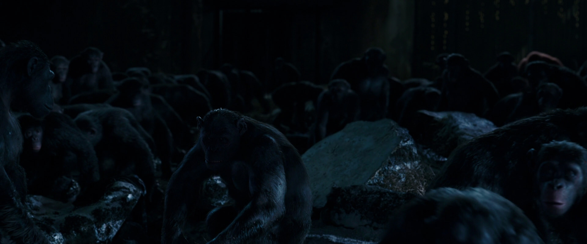 War for the Planet of the Apes (2017) screencap 12753